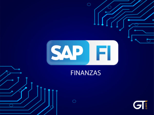SAP FI