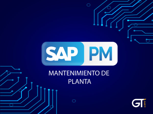 curso-sap-pm