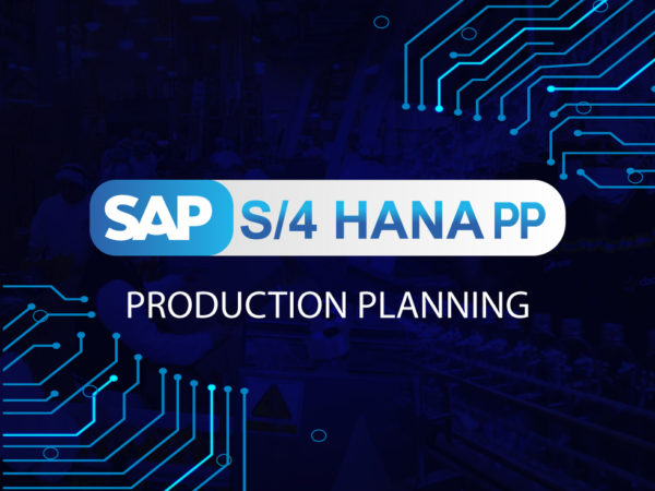 curso-sap-s4hana-pp
