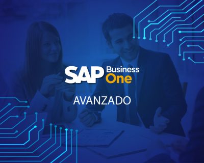 SAP Business One – Nivel Usuario