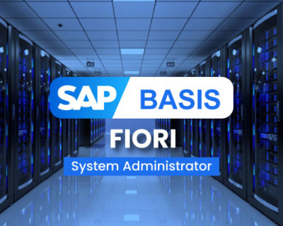 SAP BASIS FIORI System Administrator