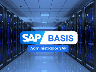 SAP BASIS – Administrador SAP