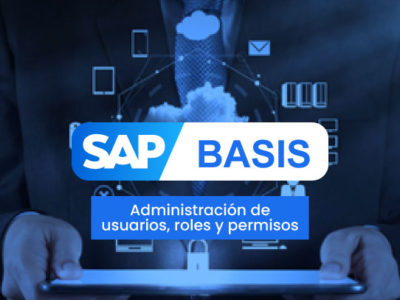 SAP BASIS Administración de usuarios, roles y permisos
