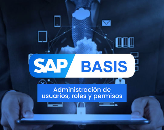 BASIS-Administración-de-usuarios,-roles-y-permisos