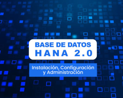 SAP BASIS Administración de Base de Datos Hana