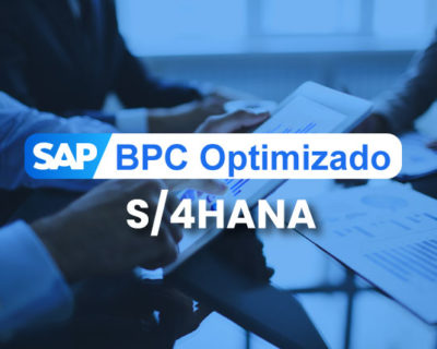SAP BPC Optimizado