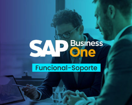 SAP Business One Funcional – Soporte