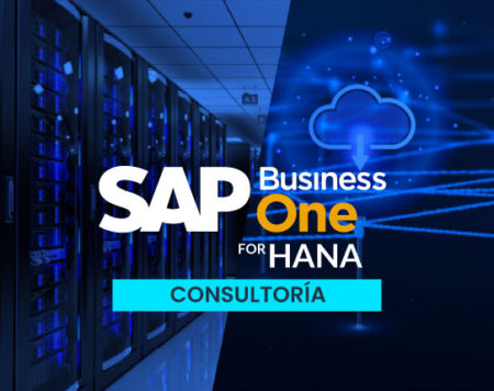 SAP Business One for Hana
