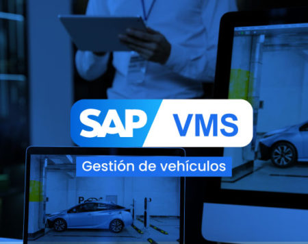 SAP VMS