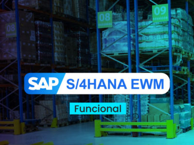 SAP S4Hana EWM – Funcional