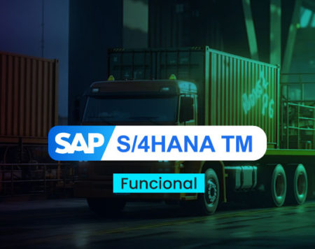 SAP S4Hana TM – Funcional