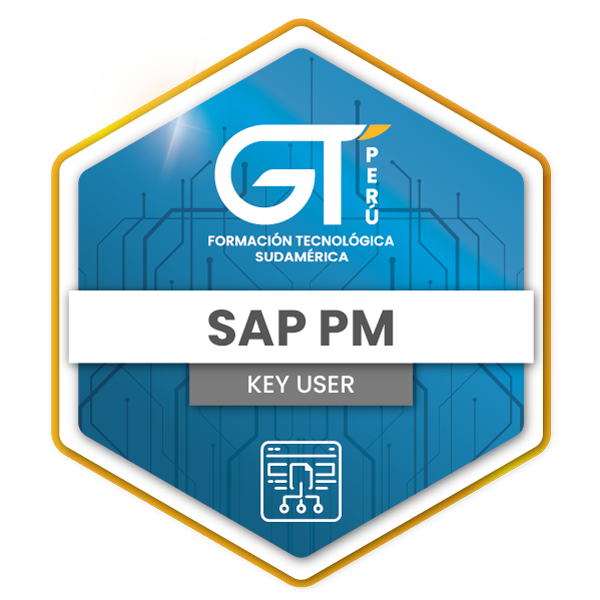 Key User
