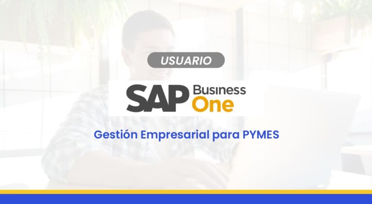 SAP BUSINESS ONE