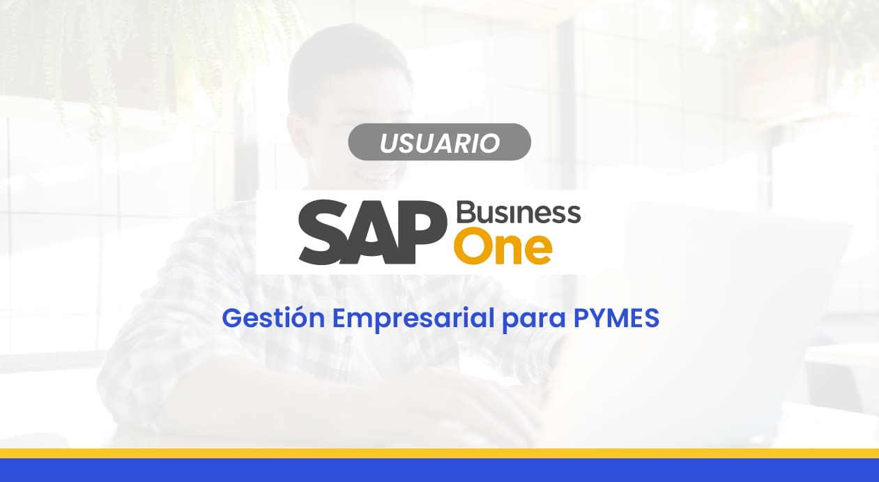 SAP Business One – Usuario en Nombre