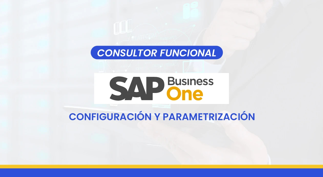 Consultor SAP Business One