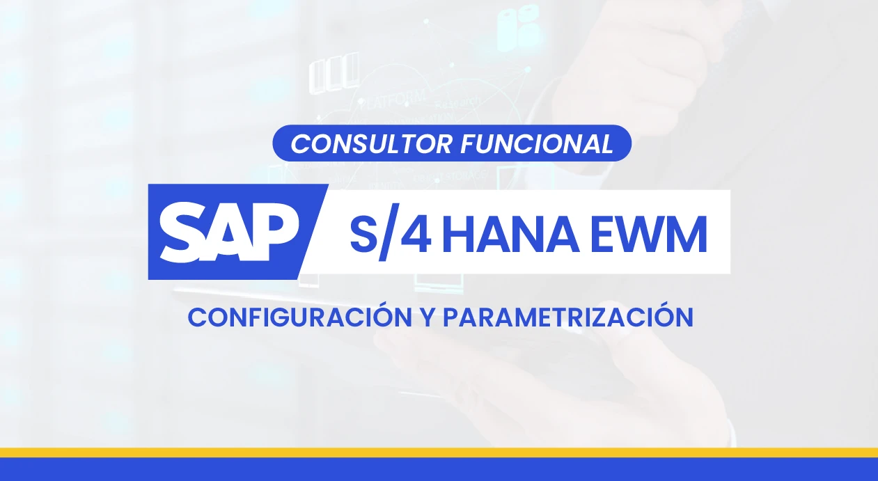 Consultor SAP EWM – Configuración Técnica para Expertos