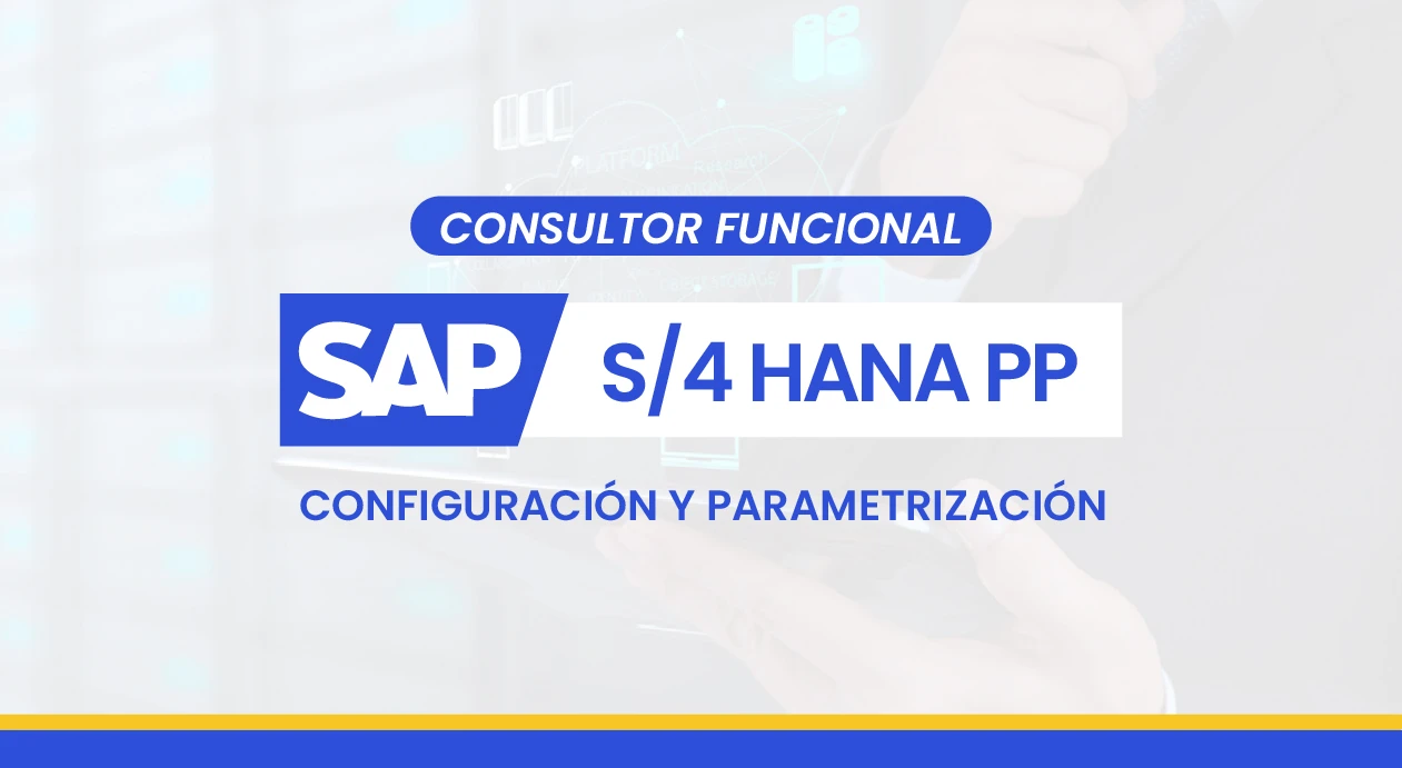 Consultor SAP PP – Producción Industrial y Configuración Técnica