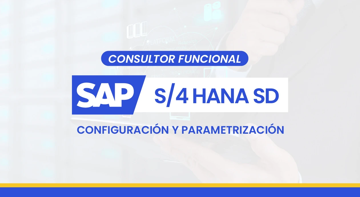 Consultor SAP SD – Ventas Técnicas y Configuración Comercial