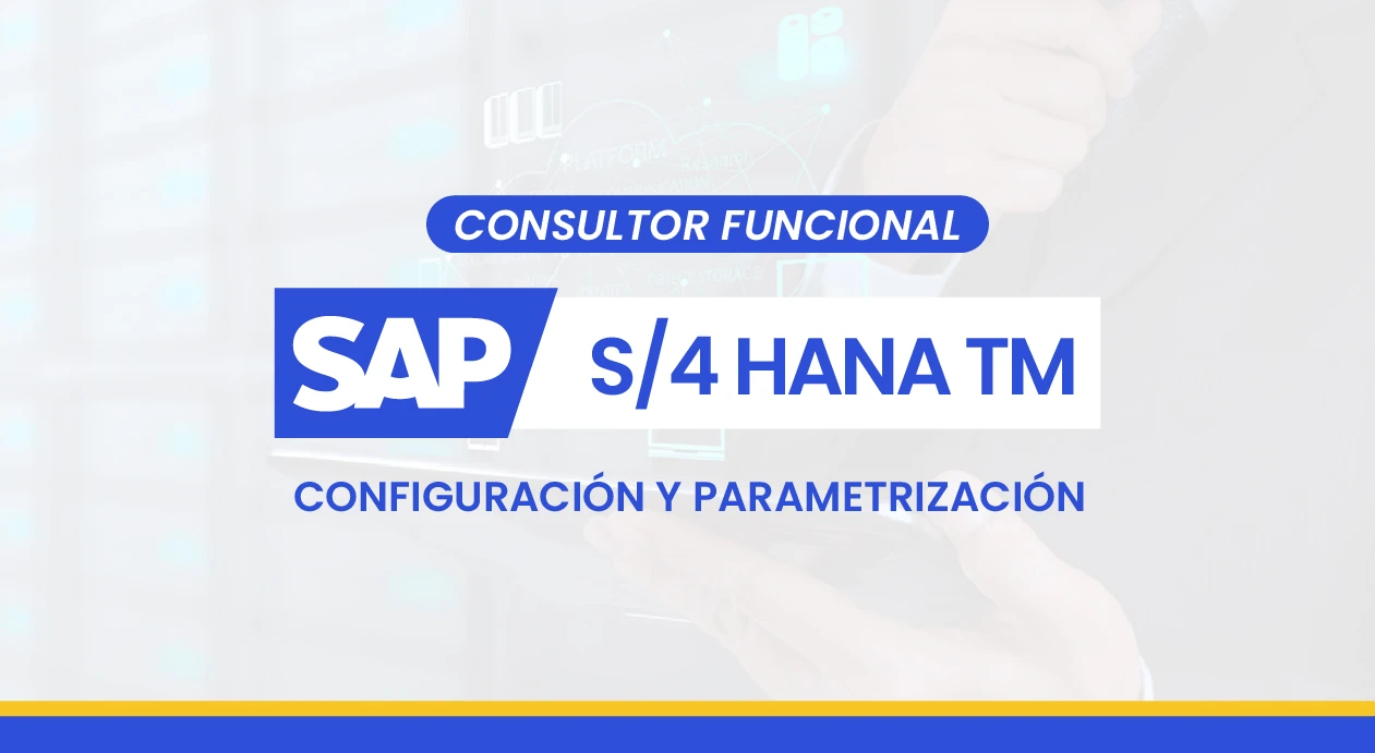 Consultor SAP TM – Configuración Técnica para Expertos