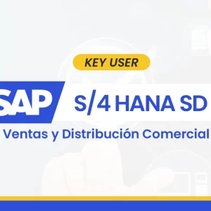 SAP S4HANA SD