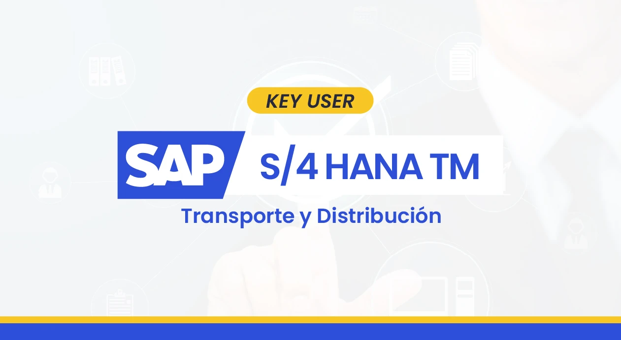 SAP S/4HANA TM – Key User en Transporte y Distribución