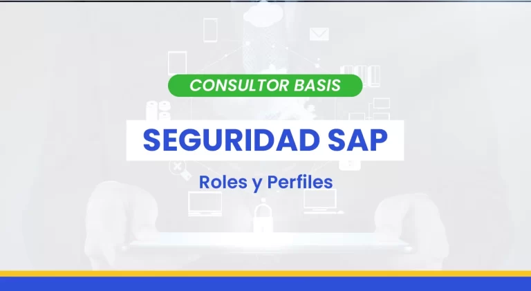 Seguridad SAP – Roles y Perfiles