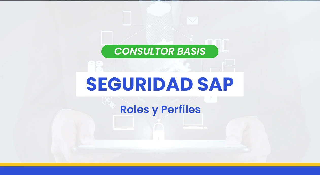 Seguridad SAP – Roles y Perfiles