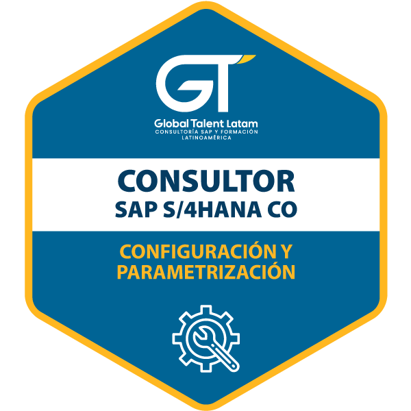 CONSULTOR