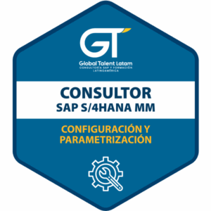 Insignia de Consultor SAP MM