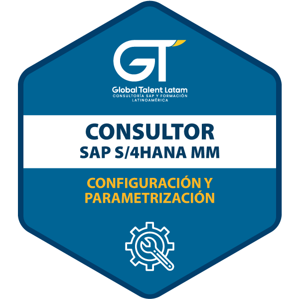 CONSULTOR