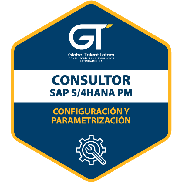 CONSULTOR