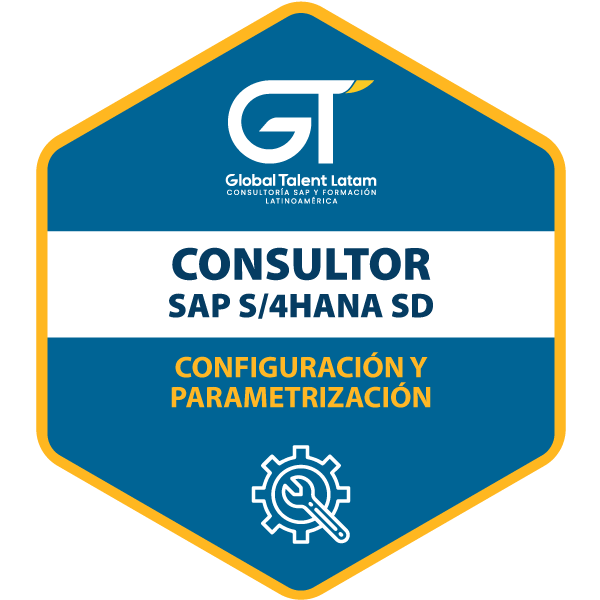 CONSULTOR