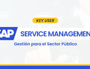 SAP S/4HANA Service Management (CS/SM) – Usuario a Key User