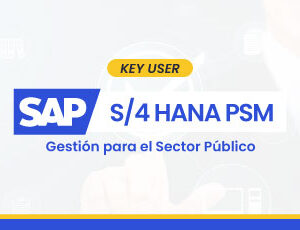 SAP S/4HANA PSM – Usuario a Key User