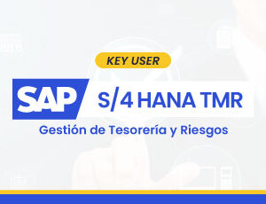 SAP S/4HANA TMR – Usuario a Key User